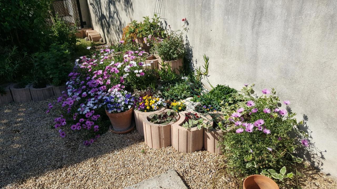 Appartement Avec Terrasse Quartier Montplaisir Arles Buitenkant foto